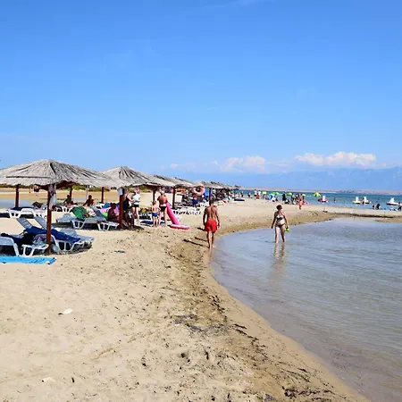 Sokol *